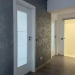 Unique Penthouse Lakeview W19