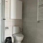 Unique Penthouse Lakeview W19 Bucareste