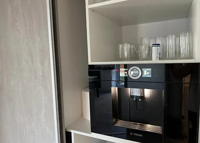 Apartament Unique Penthouse Lakeview W19 Bucureşti